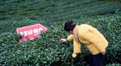 沉仓供应链计谋进